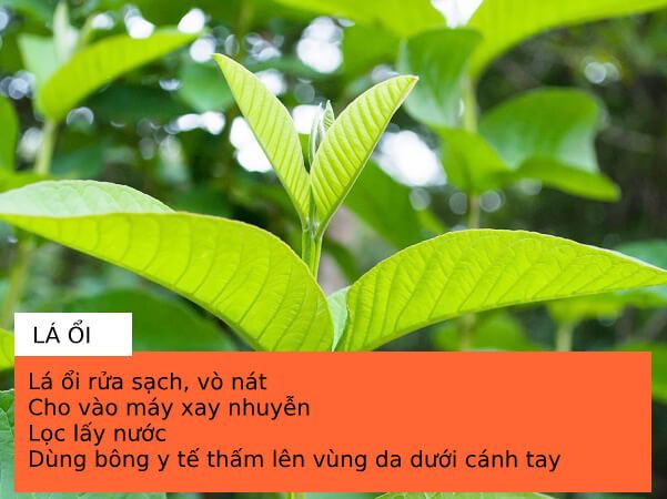 Cách làm sạch lông nách tại nhà bằng nguyên liệu tự nhiên