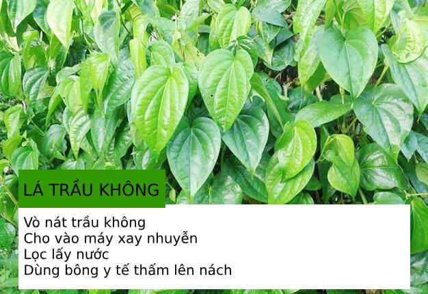 Cách làm sạch lông nách tại nhà bằng nguyên liệu tự nhiên