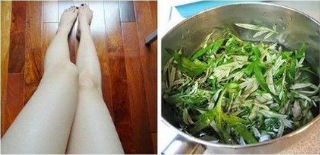 tẩy lông chân bằng ngải cứu, cách tẩy lông chân bằng lá ngải cứu, review tẩy lông chân bằng lá ngải cứu webtretho, tẩy lông chân bằng ngải cứu có hiệu quả không