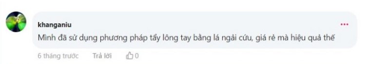 tẩy lông chân bằng ngải cứu, cách tẩy lông chân bằng lá ngải cứu, review tẩy lông chân bằng lá ngải cứu webtretho, tẩy lông chân bằng ngải cứu có hiệu quả không