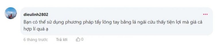 tẩy lông chân bằng ngải cứu, cách tẩy lông chân bằng lá ngải cứu, review tẩy lông chân bằng lá ngải cứu webtretho, tẩy lông chân bằng ngải cứu có hiệu quả không