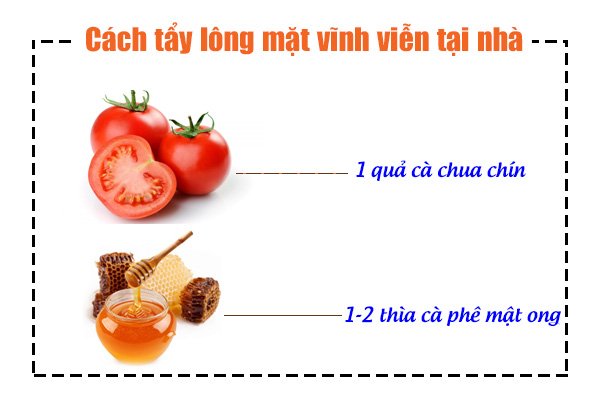 cách giảm lông mặt,cách làm giảm lông mặt,cách tẩy lông mặt vĩnh viễn tại nhà, mẹo hay tẩy bay lông mặt, tẩy lông mặt vĩnh viễn, cách triệt lông mặt vĩnh viễn tại nhà, cách triệt lông mặt vĩnh viễn, triệt lông mặt vĩnh viễn tại nhà, triệt lông mặt vĩnh viễn, cách làm sạch lông mặt, tẩy lông mặt tại nhà, tẩy lông mặt vĩnh viễn tại nhà, cách triệt lông mặt, tẩy lông mặt, cách triệt lông mặt tại nhà, cách trị lông mặt tại nhà, cách loại bỏ lông mặt, cách se lông mặt, cách tẩy lông mặt vĩnh viễn, tay long mat, cách tẩy lông mặt tại nhà, cach tay long mat, cách trị lông mặt tận gốc, mặt nạ tẩy lông mặt, cách trị lông băng trên mặt, tẩy lông mặt bằng cà chua, lột lông mặt, triệt lông mặt tại nhà, cách trị lông mặt, trị lông mặt tại nhà, cách tẩy lông mặt, kem tẩy lông mặt vĩnh viễn