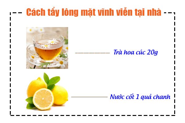 cách giảm lông mặt,cách làm giảm lông mặt,cách tẩy lông mặt vĩnh viễn tại nhà, mẹo hay tẩy bay lông mặt, tẩy lông mặt vĩnh viễn, cách triệt lông mặt vĩnh viễn tại nhà, cách triệt lông mặt vĩnh viễn, triệt lông mặt vĩnh viễn tại nhà, triệt lông mặt vĩnh viễn, cách làm sạch lông mặt, tẩy lông mặt tại nhà, tẩy lông mặt vĩnh viễn tại nhà, cách triệt lông mặt, tẩy lông mặt, cách triệt lông mặt tại nhà, cách trị lông mặt tại nhà, cách loại bỏ lông mặt, cách se lông mặt, cách tẩy lông mặt vĩnh viễn, tay long mat, cách tẩy lông mặt tại nhà, cach tay long mat, cách trị lông mặt tận gốc, mặt nạ tẩy lông mặt, cách trị lông băng trên mặt, tẩy lông mặt bằng cà chua, lột lông mặt, triệt lông mặt tại nhà, cách trị lông mặt, trị lông mặt tại nhà, cách tẩy lông mặt, kem tẩy lông mặt vĩnh viễn