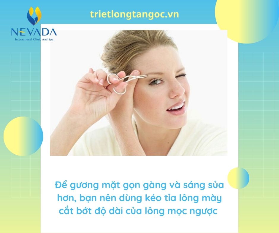 lông mày mọc ngược, đuôi lông mày mọc ngược, lông mày mọc ngược ở đuôi, lông mày mọc lộn xộn, chân mày mọc ngược, đầu lông mày mọc ngược, lông mày ngược, lông mày lộn xộn, lông mày mọc ngược lên, đuôi lông mày lộn xộn, lông mày mọc dựng lên, chân mày dựng đứng, đầu lông mày, không có lông mày, lông mi mọc lộn xộn, lông mày dựng ngược ở đàn ông, lông mày dựng đứng, lông mày dựng ngược là như thế nào, lông mày dựng ngược, lông mày dựng đứng ở đầu, chân mày dựng ngược, sợi lông mày mọc ngược