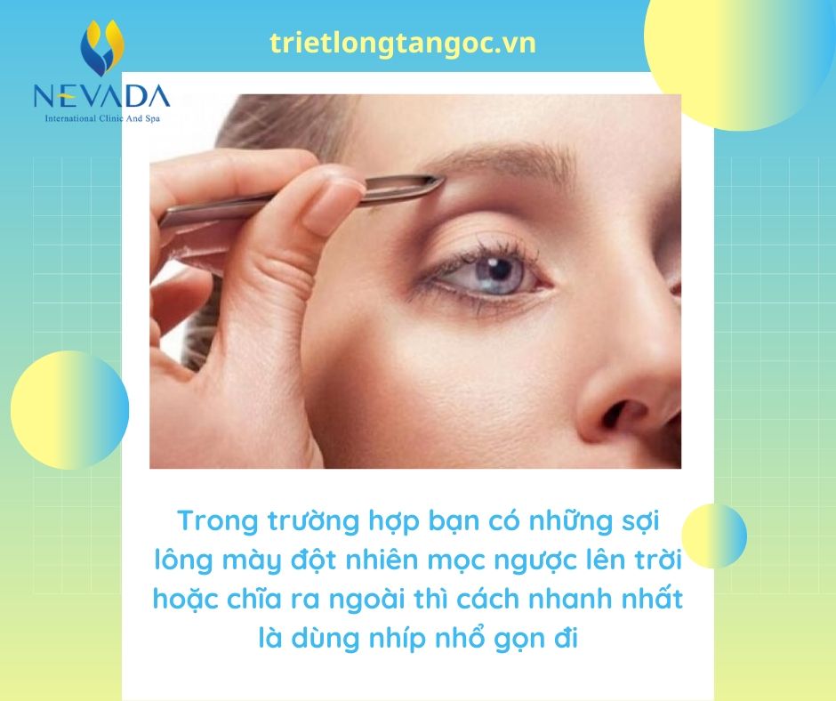 lông mày mọc ngược, đuôi lông mày mọc ngược, lông mày mọc ngược ở đuôi, lông mày mọc lộn xộn, chân mày mọc ngược, đầu lông mày mọc ngược, lông mày ngược, lông mày lộn xộn, lông mày mọc ngược lên, đuôi lông mày lộn xộn, lông mày mọc dựng lên, chân mày dựng đứng, đầu lông mày, không có lông mày, lông mi mọc lộn xộn, lông mày dựng ngược ở đàn ông, lông mày dựng đứng, lông mày dựng ngược là như thế nào, lông mày dựng ngược, lông mày dựng đứng ở đầu, chân mày dựng ngược, sợi lông mày mọc ngược