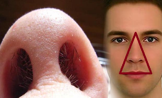 lông mũi bạc trắng, lông mũi bị bạc trắng, lông mũi bạc