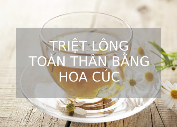 triệt lông toàn thân bằng thảo dược, cách triệt lông toàn thân, cách triệt lông toàn thân tại nhà, cách tẩy lông toàn thân, cách triệt lông toàn thân vĩnh viễn tại nhà, cách triệt lông toàn thân an toàn, cách triệt lông toàn thân hiệu quả, cách triệt lông toàn thân hiệu quả tại nhà, triệt lông toàn thân vĩnh viễn tại nhà,triệt lông toàn thân tại nhà, triệt lông toàn thân tại nhà an toàn