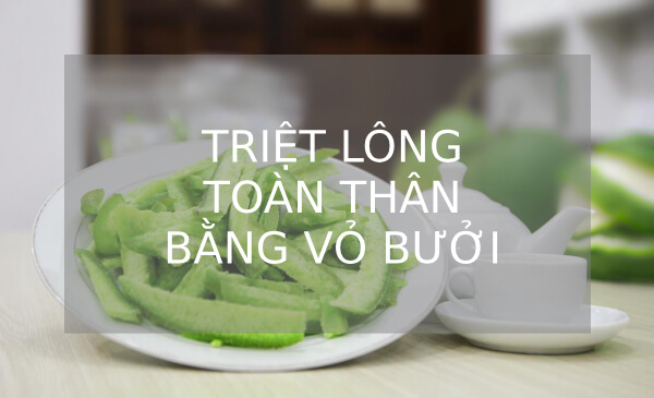 triệt lông toàn thân bằng thảo dược, cách triệt lông toàn thân, cách triệt lông toàn thân tại nhà, cách tẩy lông toàn thân, cách triệt lông toàn thân vĩnh viễn tại nhà, cách triệt lông toàn thân an toàn, cách triệt lông toàn thân hiệu quả, cách triệt lông toàn thân hiệu quả tại nhà, triệt lông toàn thân vĩnh viễn tại nhà,triệt lông toàn thân tại nhà, triệt lông toàn thân tại nhà an toàn