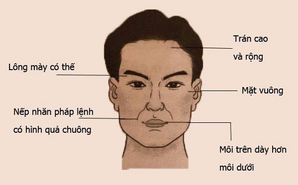 xem tướng đàn ông lông mày lá liễu, xem tướng đàn ông lông mày nhạt, xem tướng đàn ông lông mày rậm, xem tướng đàn ông lông mày, xem tướng đàn ông qua lông mày, cách xem tướng lông mày đàn ông, xem tướng số qua lông mày đàn ông, xem lông mày đoán tướng đàn ông, xem tướng lông mày của đàn ông, xem tướng đàn ông có lông mày nhạt