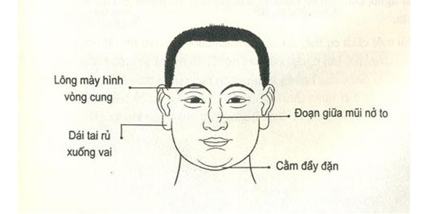 xem tướng đàn ông lông mày lá liễu, xem tướng đàn ông lông mày nhạt, xem tướng đàn ông lông mày rậm, xem tướng đàn ông lông mày, xem tướng đàn ông qua lông mày, cách xem tướng lông mày đàn ông, xem tướng số qua lông mày đàn ông, xem lông mày đoán tướng đàn ông, xem tướng lông mày của đàn ông, xem tướng đàn ông có lông mày nhạt